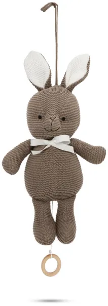 Rabbit with music inside -Wood Organic